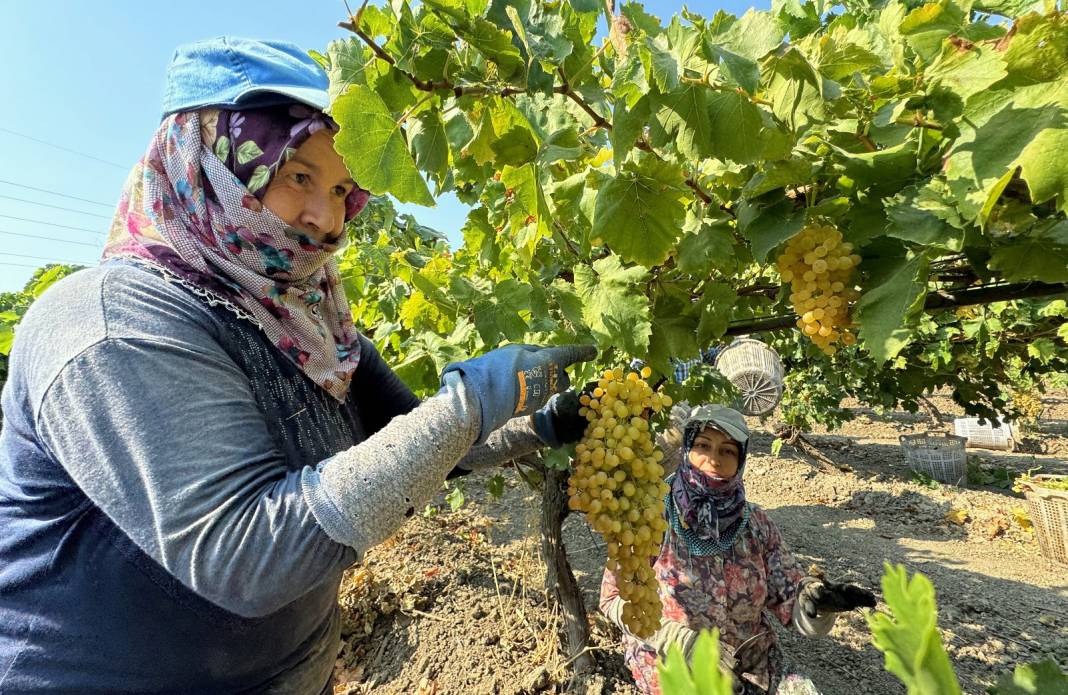 12 aylık emeğin sonuna gelindi: 500 milyon dolar gelir bekleniyor 7